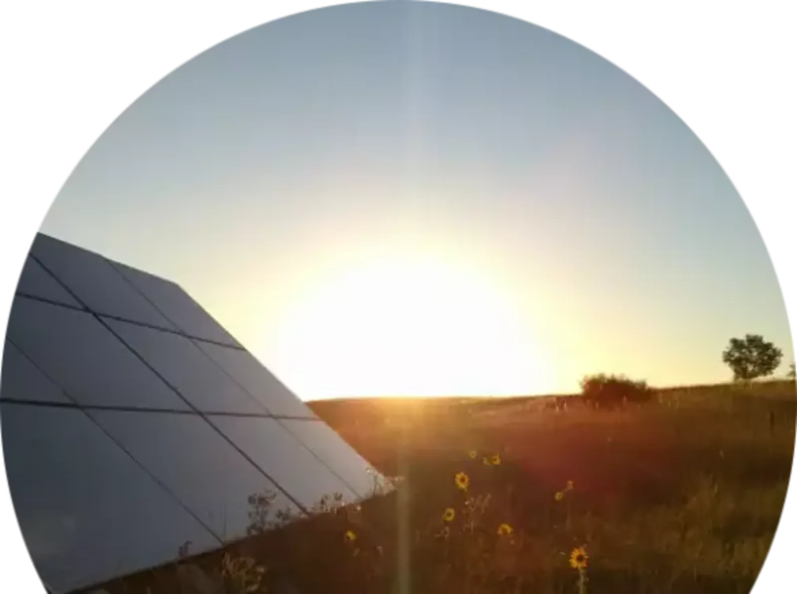 Paragon Solar - Solar service and maintenance